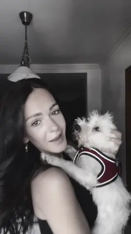 Los que nunca hacen daño❤️🐾🐶