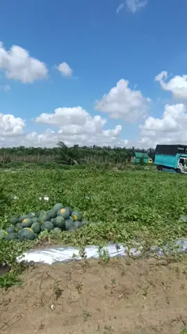 @DhanaDhano @billyselma 