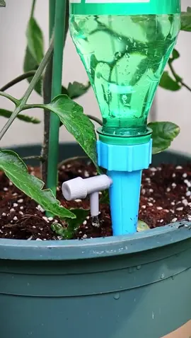 Vòi tưới nước nhỏ giọt tự động #voituoicaytudong #voituoinuocnhogiot #xuhuong #dodungtienich