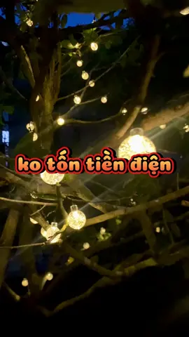 dây đèn led năng lượng mặt trời decor trang trí #dentrangtri #dentrangtrinangluongmattroi #daydentrangtri #daydenled #daydenledtrangtri #dennangluongmattroi #decor 
