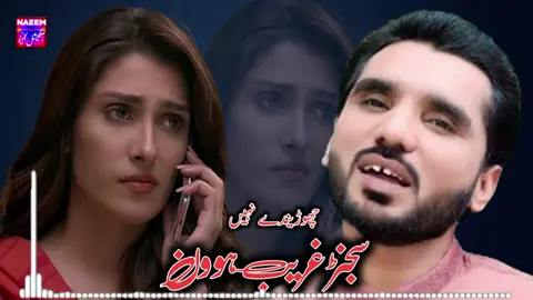 #SAJANRGREEBHOWAN #NAEEMOFFICIALSTUDIO #tanveeranjum #saraikisong #virlvideo #tiktok #tranding #punjabi