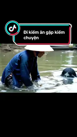 Đi kiếm ăn cũng không yên🤣 #veo3 #truyenma #hàihước #aivideo #ai #kemtron #truyenhaihuoc 
