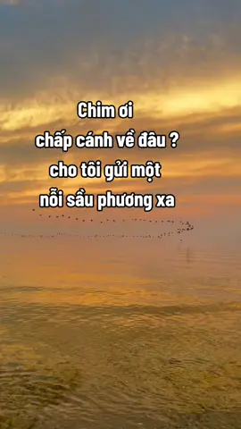 #tamtrangkhongvui 