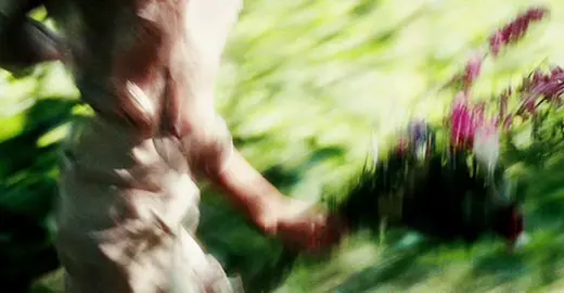 ✧･ﾟ: *✧･ﾟ:* 🌿🦢 ✧･ﾟ: *✧･ﾟ:*  . . . . #nature#gif#GIF#nastyona#jordanriver#myseptember#cottage#cottagecore#aesthetic#aestheticallypleasing#vibe #tikok#viral#fyp