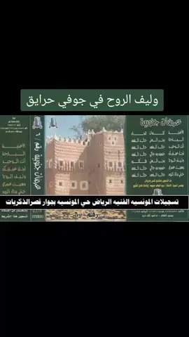 عرضات جنوبية #اغاني #عود