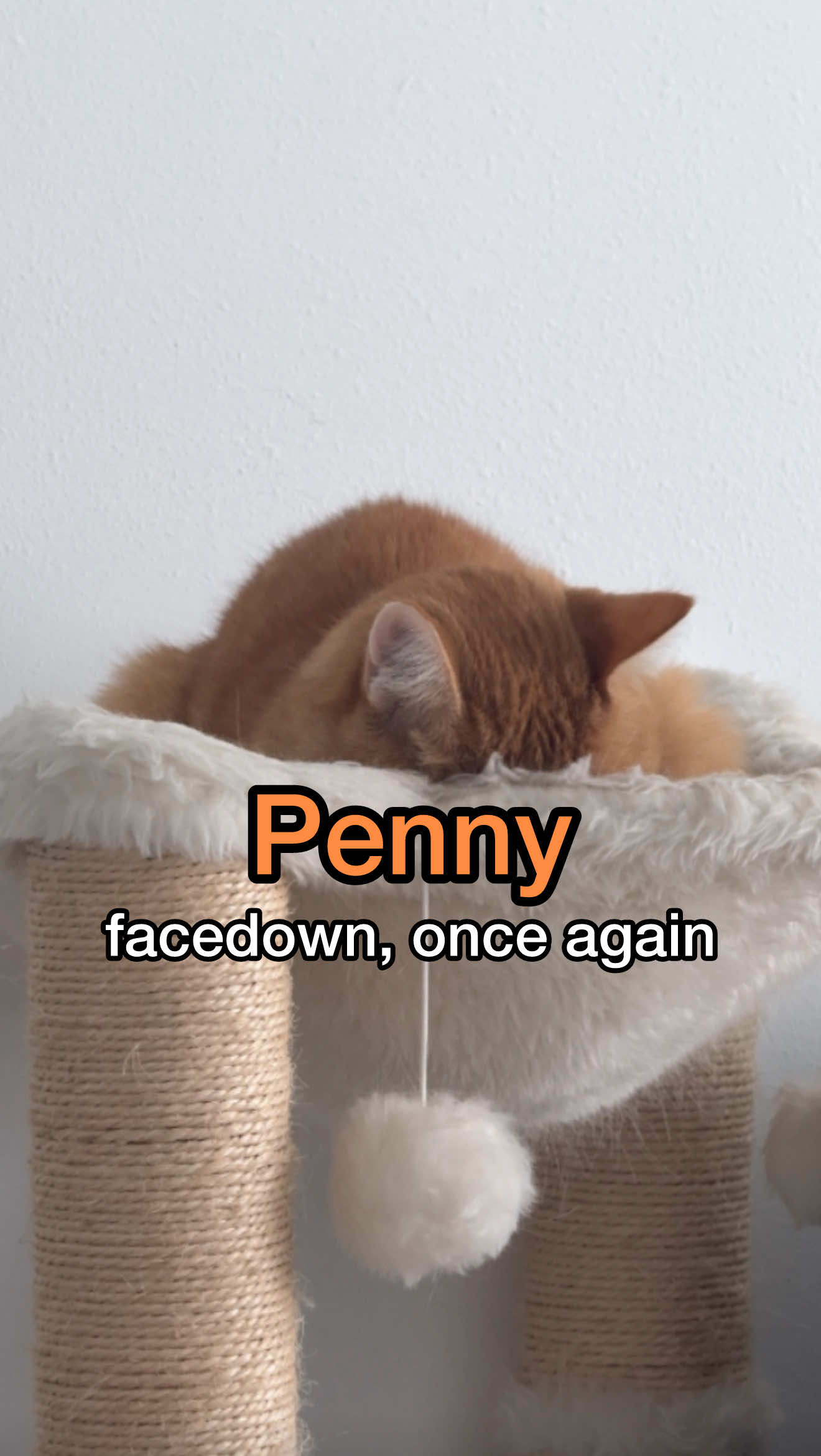it’s been such a long wait…