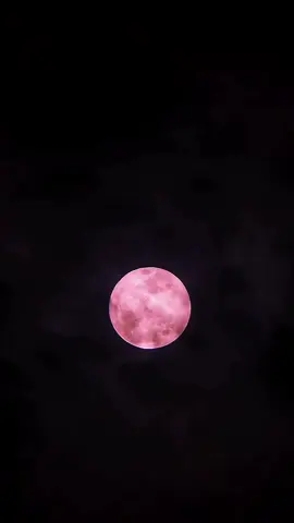 Strawberry Moon🍓 #strawberrymoon #moon #bulan #bulanstrawberry #astrophile #astrophotography #Astronomy #nightsky #langitmalam #langitaesthetic #apexel #shootonxiaomi 