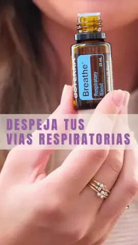 🌿✨ doTERRA Breathe es una mezcla refrescante de aceites esenciales como menta, eucalipto y cardamomo. Promueve la sensación de vías respiratorias despejadas y una respiración fácil. Ideal para momentos de descanso o al aire libre. Puedes aplicarlo en el pecho, espalda o pies, o difundirlo en tu espacio. Su aroma fresco y mentolado crea un ambiente relajante. #viasrespiratorias  #aceitesesenciales  #bienestarysalud  #mamasfelices   #saludholistica 