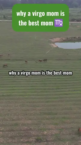 #astrology #foryou #zodiacs #virgo 