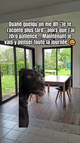 Quand quelqu’un me dit je te raconte plus tard alors que j’ai zéro patience et Maintenant je vais y penser toute la journée 😾🧠 #catmeme #humour #drole #sketch #fyp