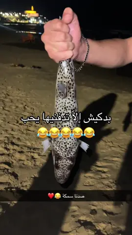 الله سترنا 😂😂😂#سمكة_الارنب_السامة #bigfabio🦅🤟🦁⚔️🇦🇱 #الروسي🇷🇺🔥 @Em zedan والروسي💍❤️ 
