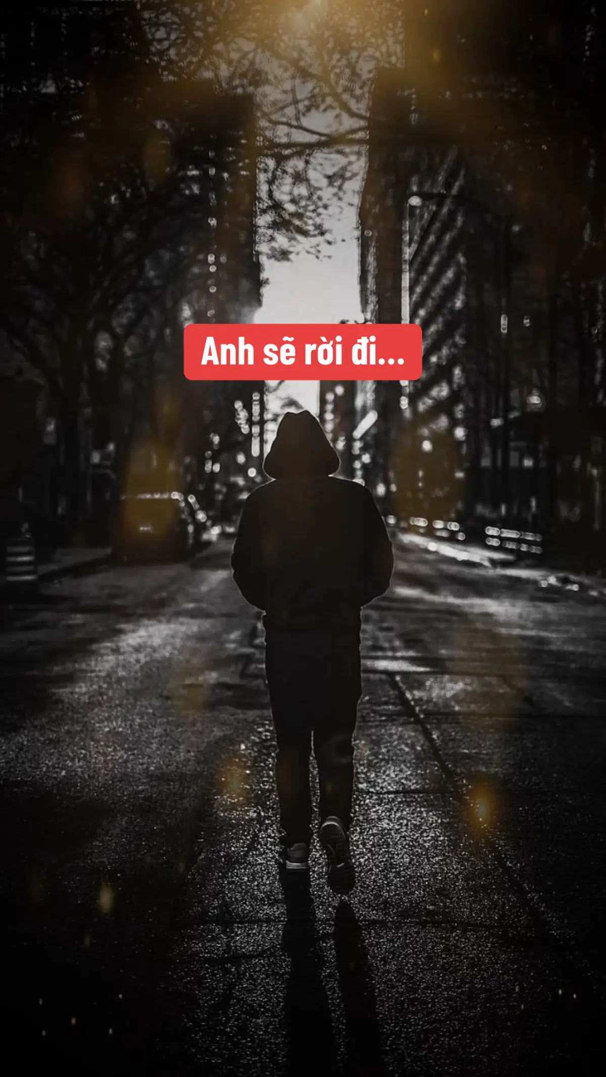 Anh sẽ rời đi. Em sẽ không còn thấy anh làm phiền em nữa đâu. Chỉ mong rằng, ở đâu đó trong tương lai, nếu có lúc nào đó em nhớ tới anh, nhớ rằng đã từng có một người yêu em bằng cả trái tim. Sau này em sẽ không còn thấy những dòng tin nhắn từ anh nữa, khoảng thời gian vừa qua có lẽ nên dừng ở đây thôi. Yêu em là thật, đối tốt với em cũng là thật. Nhưng nếu anh không thể bước vào cuộc sống của em một cách chọn vẹn, anh cũng sẽ không miễn cưỡng, anh mong em sống tốt, một cuộc đời bình an, an yên... Nếu như có một ngày em mệt mỏi hay chợt nhớ tới anh, thì hãy tìm đến anh... Câu nói này... mãi mãi không bao giờ hết hạn vì em là NGOẠI LỆ.!!  Nhớ đừng để ai làm tổn thương em, em nhé... Tạm biệt và cảm ơn vì những cảm xúc đẹp đẽ nhưng cũng đầy đau đớn này.