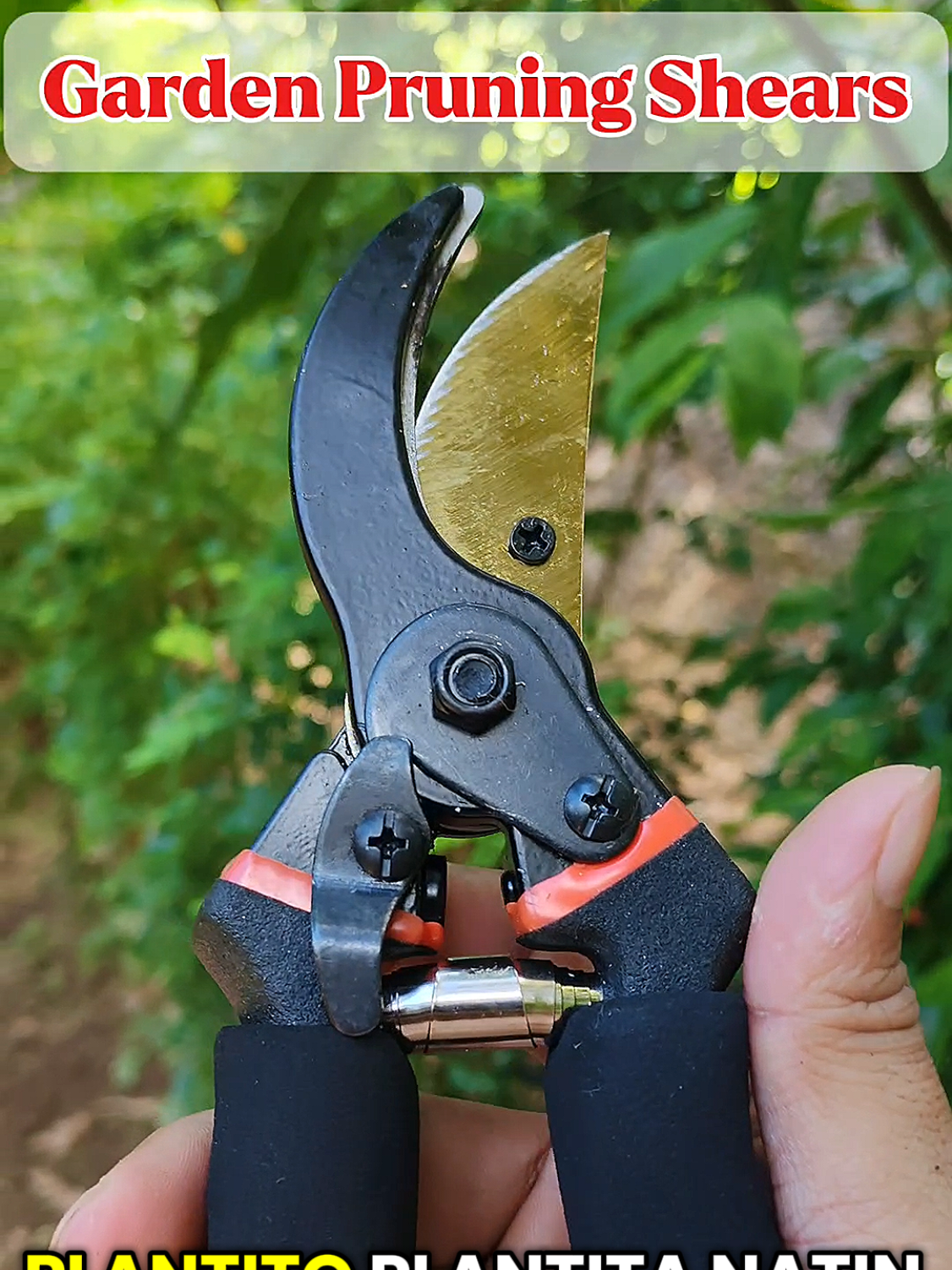 Pang treem sa mga sanga ng halaman... Napakatalas ng talim #plants #plantito #plantita #halaman #treem #pruning #cutter #tool #highlights #everyone #fyp #fypシ゚ #fypシ゚viral🖤tiktok 
