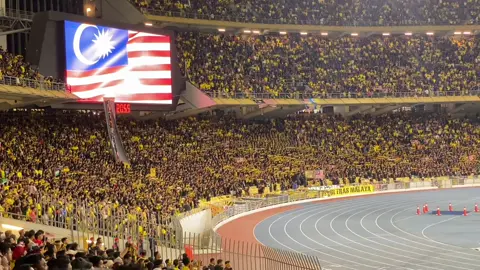 Tifo UM 🔥🐯 #malaysiavsvietnam #ultrasmalaya #afcqualifiers 