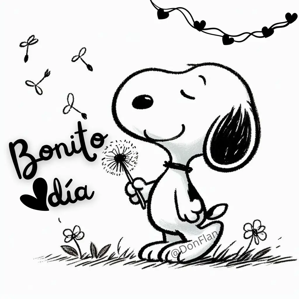Bonito día 🖤✨ #paratii #bonitodia #snoopy #donflan 
