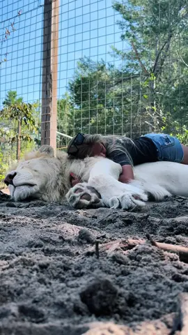 No better feeling 🤍 