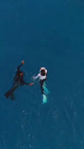 si paling ramah 😊 #gorontalo #whalesharkgorontalo #whalesharkbotubarani #hiupausgorontalo #hiupausbotubarani 