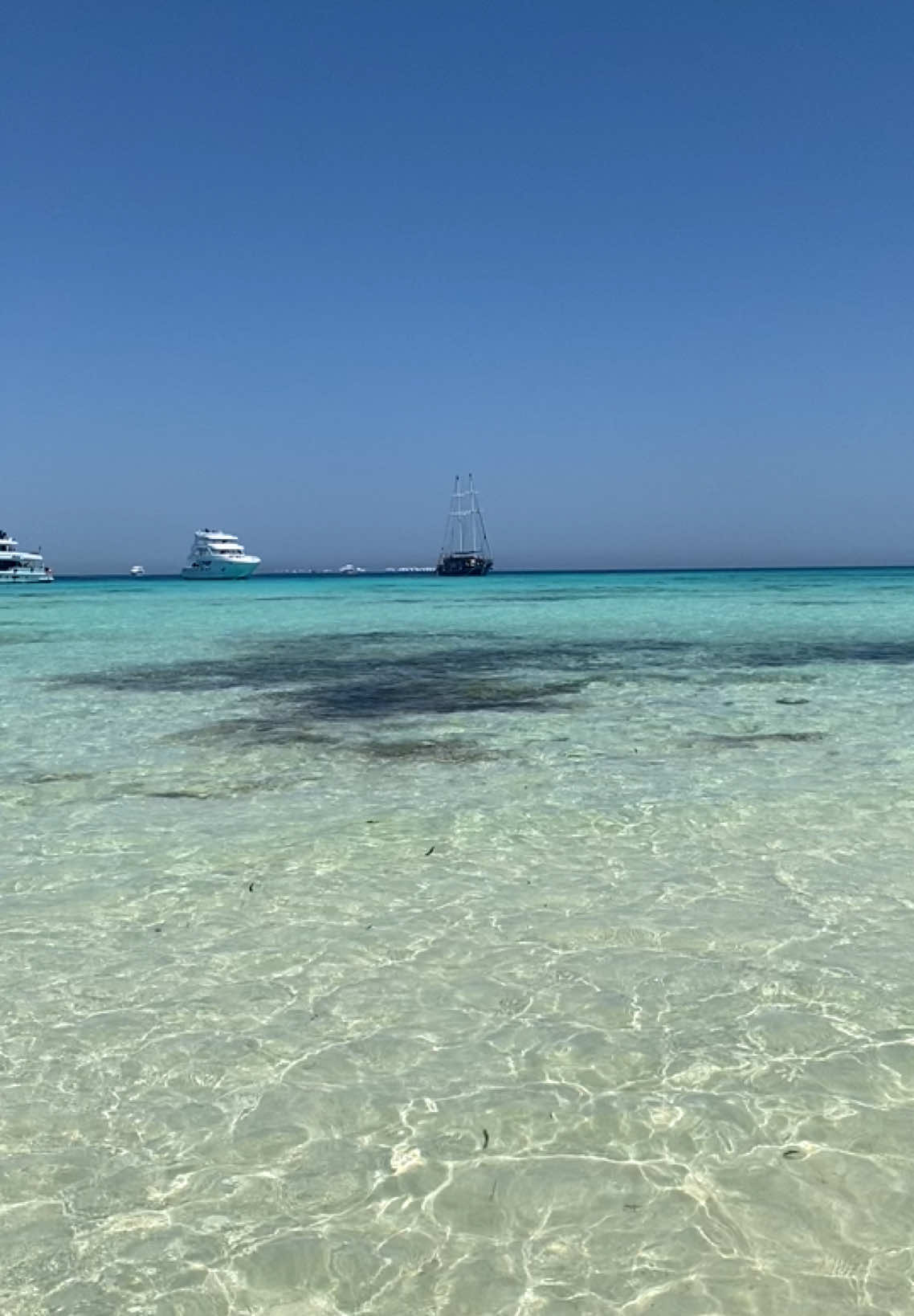 #apieceofmaldive #egypt #الشعب_الصيني_ماله_حل😂😂 #مصر🇪🇬 #🦐🐟🐠🐙 #london #اكسبلورexplore #بحر #شرم_الشيخ 