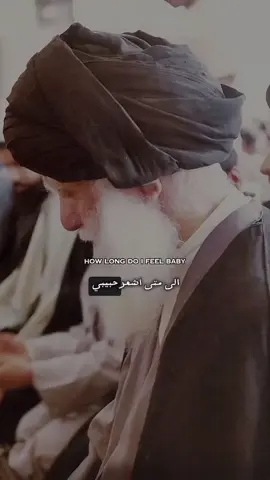 # سيد الشهيد