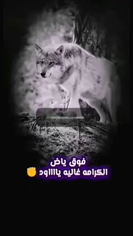 فوق يا حبيبي الكرامه غاليه #اكسبلور #اكسبلورexplore #ترند #ترند_تيك_توك #هاشتاق #الحر#تصميم_فيديوهات🎶🎤🎬 #تصميمي #حالات_واتس#f#fyp #foryou #foryoupage #viral #سوهاج_قنا_اسيوط_اسوان_المنيا_الاقصر #هواره_ولنا_في_قمة_المجد_رايات 