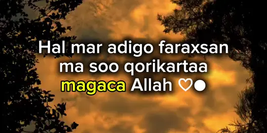 hal mar soo qor #scw #scw_kusaliya_nabiga_scw #scwscwscw💓💓💓 