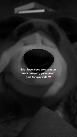 #paratiiiiiiiiiiiiiiiiiiiiiiiiiiiiiii #dedicarvideos♡ #videovirall #frasesdeamor #enamoradadelavida #liveinteraction #cancion 