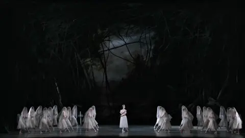 Giselle edit🤍#CapCut #giselle #ballet #edit #aesthetic #fypシ゚ #ballerina #marianelanuñez #foru #fyp #forupage #fyp #ballet #fyp #fypシ゚ #foru #fyp #goldenbrown #ballet #edit #fyp #fyp #fyp #fyp #fyp #fyp #fyp #fyp #fyp #fyp #fyp #fyp #fyp#fyp#fyp#fyp#fyp #fyp#fyp#fyp#fyp#fyp#fyp#fyp#fyp#fyp#fyp#fyp#