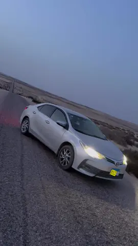 #مشاهير_تيك_توك 