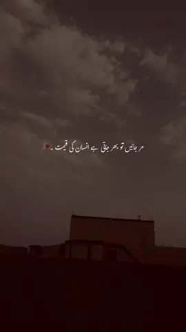 Bilkul💔🥀#urduadab #urduadablines #trendingvideo #viral #viral_video #tiktok #poetry #trend #unfrezzmyaccount 