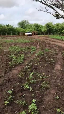 #venezuela🇻🇪 #fincaLaPerla #poderamericano #paratiiiiiiiiiiiiiiiiiiiiiiiiiiiiiii #videoviral 