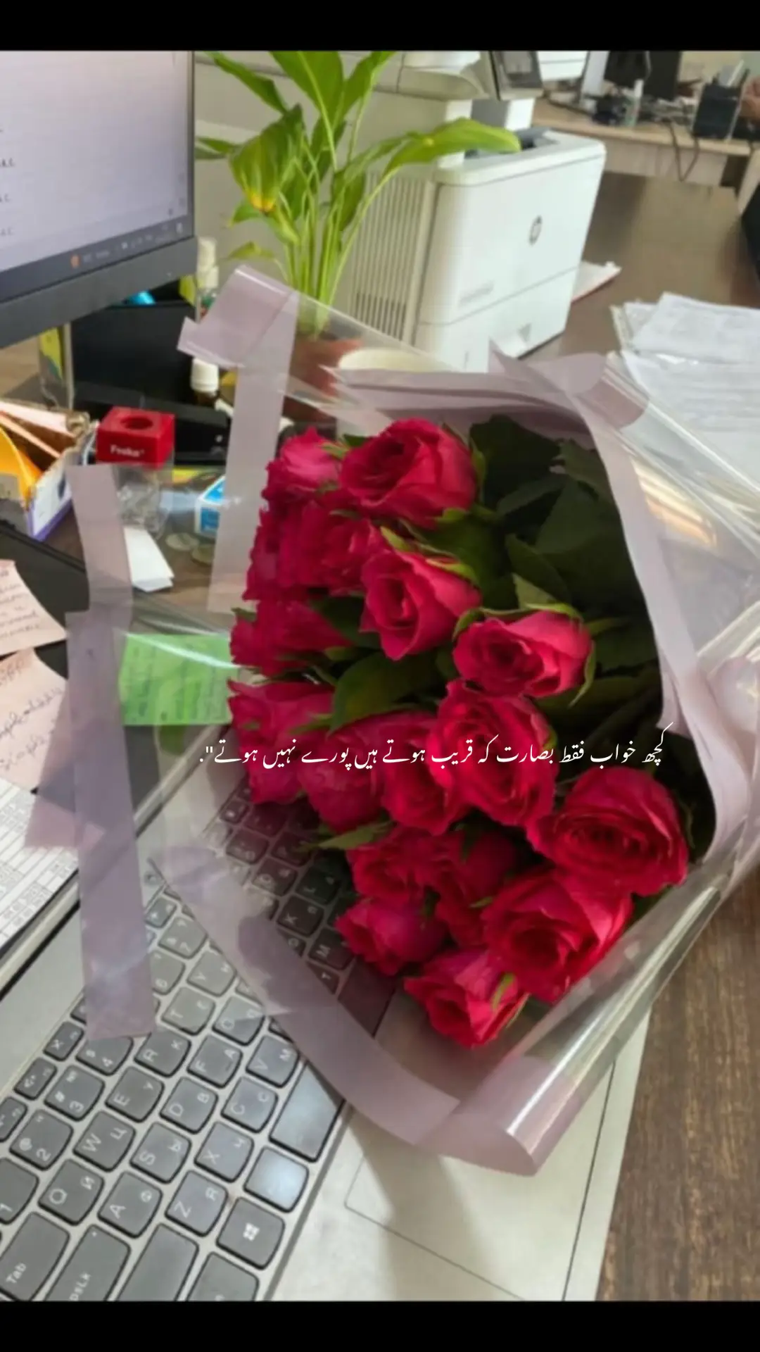 #fyp #gulab #phool #khubsurati😘🤭 #sakun #pashtopoetry 