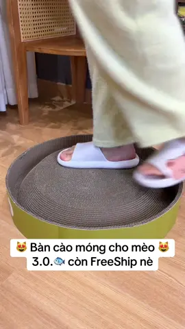 Một em ổ cào móng cho mèo, Bàn cào móng cho mèo mà sen nào cũng nên có #pet #cat #bancaomong #catsoftiktok #xuhuong #tieubonday #mèo #ocaomongchomeo