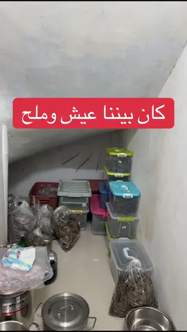 #عود #oud #مشاهير_تيك_توك #الشعب_الصيني_ماله_حل😂😂 #اكسبلور #سياحة #تايلند #رحلات #قطر #سفر #دهن_عود #العود #بخور #دهن #دهن_العود #الامارات #الكويت 