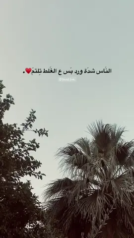 #تصويري_احترافي_الاجواء👌🏻🕊😴 #اشويرات #جنوب_الموصل #foryou #tiktok #بدون_هشتاق 