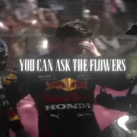you can ask the flowers..... Max Verstappen || #dromodf #fypp #for #fyp #foryoupagе #formula1 #foru #formulaone #edit #edits #funk #funkedit #max #maxverstappen #maxverstappen33 #redbull #redbullracing #maxverstappenedit #maxverstappen1 #maxverstappen👑🇳🇱 #maxverstappenedits #vhs #capcut #nodevideo