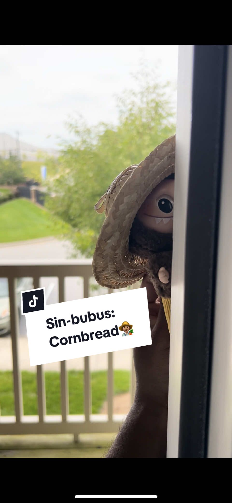 The hat protects him from the sun! #CapCut #sinners #cornbread #labubu