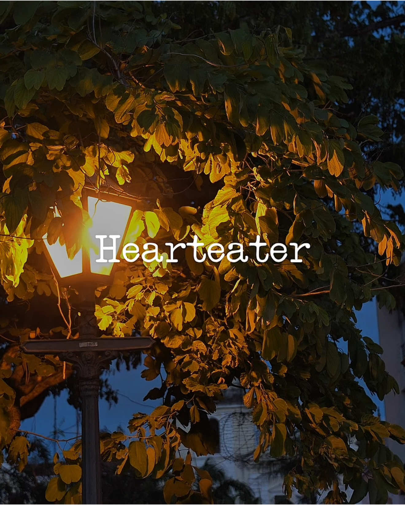 Hearteater -XXXTentacion #lyricsedit #lyricsvideo #hearteater #xxxtentacion #xxxtentación #musicvibes #songs #lyrics #songedit 