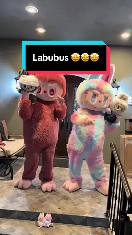 Dm for info 😬🙌🏻🥳 #viral #fy #fypage #fyppppppppppppppppppppppp #labubu #labubuthemonsters #labubuhaveaseat #labububigintoenergy #popmart #viral #trend #viraltiktok #viralvideo #partyevents #party #zimomo #labubus 