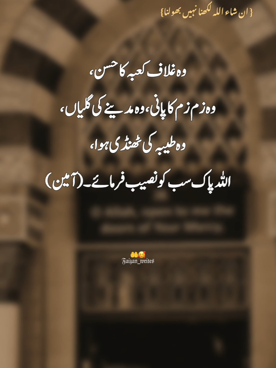 AMEEN 🥀🍁#viral #poetry #asthetic #urdupoetry #foryou #tiktokpakistan🇵🇰 #fyp 