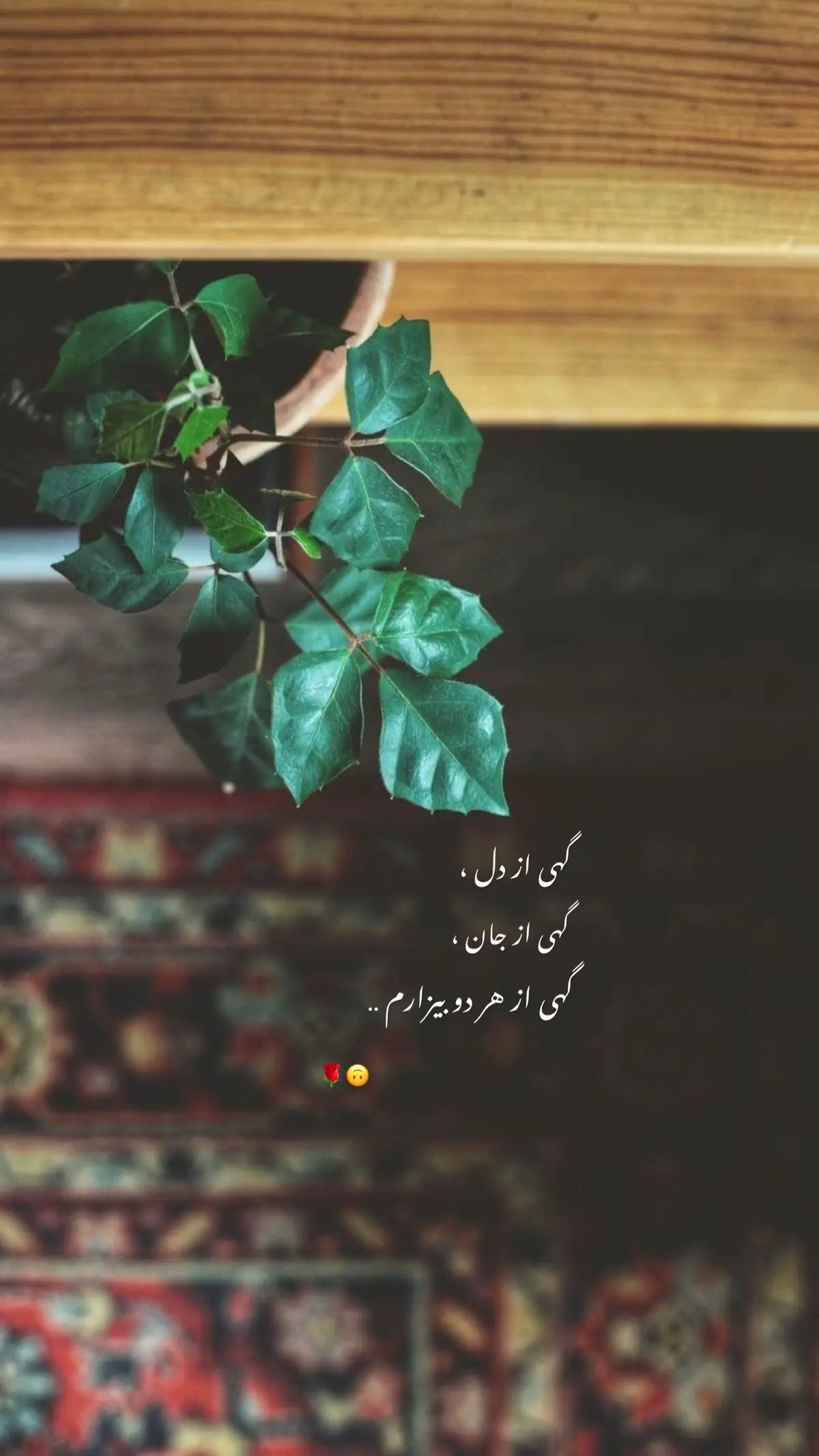 #fypシ゚viral  #foryou  #foryoupage  #keşfet  #keşfetteyizzz  #türkiye  #حافظ #دلنوشته afg#afgghanistan #شعر #متن #مولانا #فاریو 