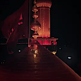 ياحسين🥹🤎#مرقد_الامام_علي_عليه_السلام