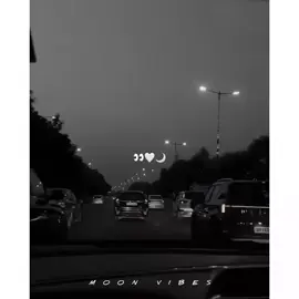 🍂🩹🖤 #poetrylover #virelvideo #poetrystatus #foryoupagе #zardpattonkaband🍂 #tiktok #uktiktok #tiktok 