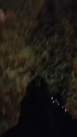 انسحابك من الفوضى راحة عظيمة🕊