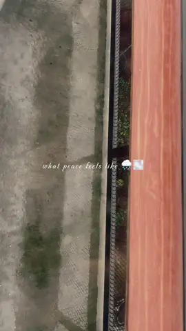 You hate the rain? How could anyone hate the rain?  Rain with Sumbing Mt view ☔️🌧️🌫️ #CapCut #wisatawonosobo #explorewonosobo #explorejateng #kopibowongso #gunungsumbing #bowongsosumbing #fyp