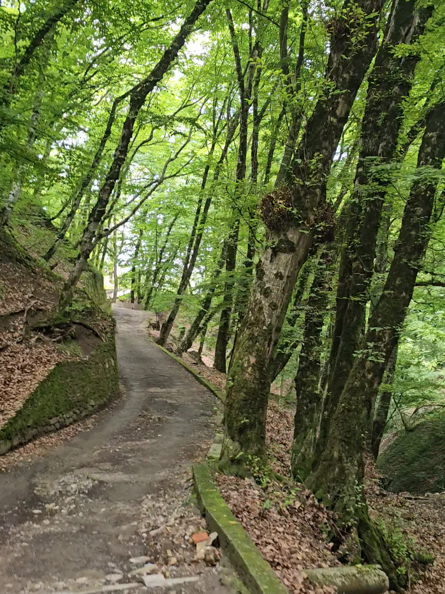 📍 Məkan: Mustafabəyin Bağı – Şəki Bu möhtəşəm yer Şəkinin gözəllik simvollarından biridir. Xan Sarayı tərəfindən cəmi 10 dəqiqəlik məsafədə yerləşir✨️