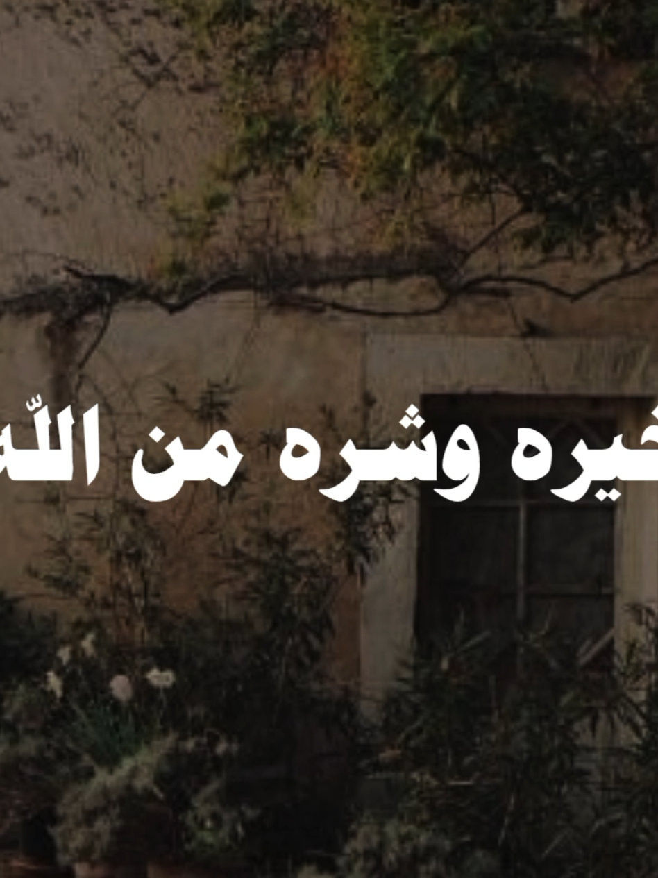 الرضا بالقضاء والقدر من اسس الايمان 🤎🍂#الشيخ_مبروك_زيد_الخير #صلي_علي_النبي 
