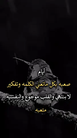 #عباراتكم_الفخمه🦋🖤🖇 #عبارات_جميلة_وقويه😉🖤 #افضل_عبارة_لها_تثييت 