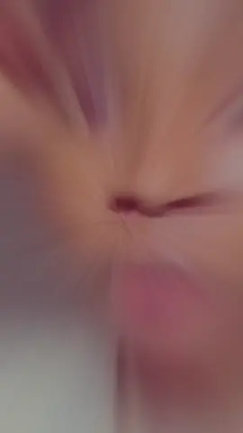 #fypシ゚💕🤝 Little🫠❤️