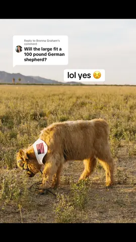 Replying to @Brenna Graham guarenteed actually 😄