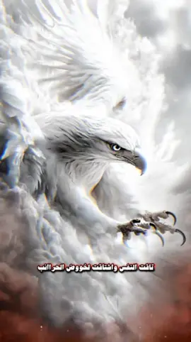 الليوث الكواسر  #جديد_عيسى_االليث #زوامــــــل_من_العيارات_الثقيله 